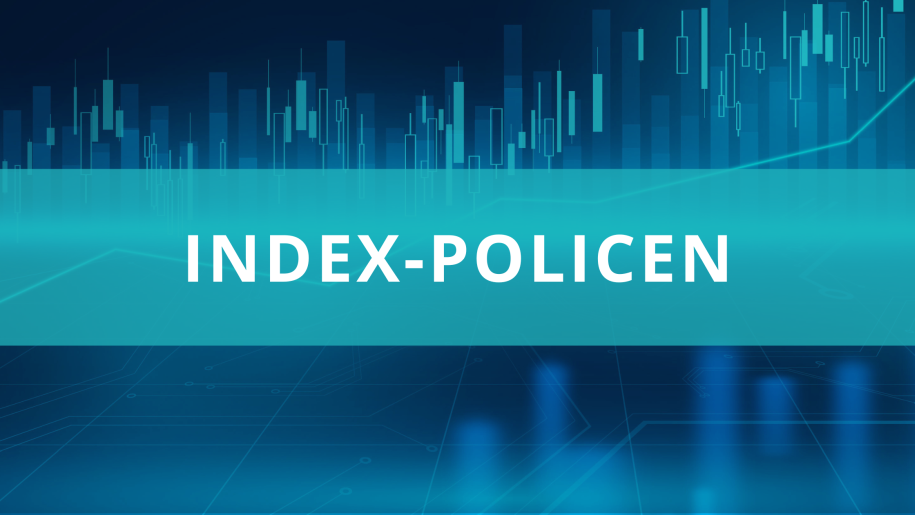 Index-Policen